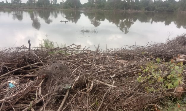 Cetak Sawah Rakyat Di Batang Hari Disorot, Lahan Belum Ditanami Dan Kerap Terendam Banjir