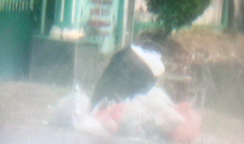 Tumpukan Sampah di Batanghari Jadi Sorotan, Kesadaran Masyarakat dan Penanganan Pemerintah Dinilai Harus Berjalan Beriringan