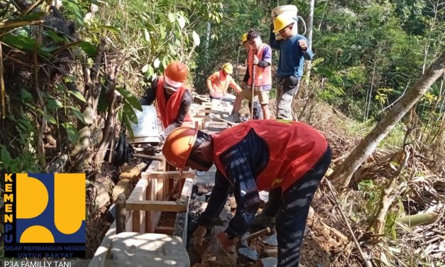 Program P3A Di Kecamatan Cisompet Dinilai Berjalan Sesuai Spesifikasi Dan Menguatkan Ketahanan Pangan