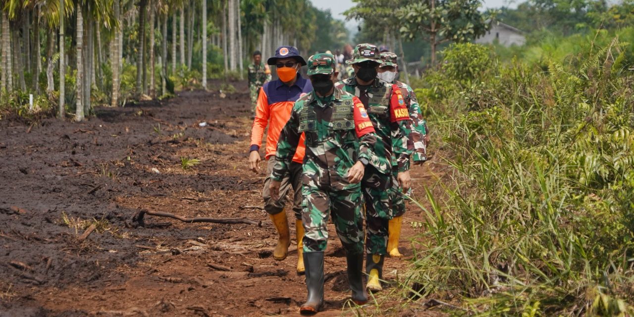 Danrem 042/Gapu Terjun Langsung Padamkan Karhutla Di Lahan Gambut Air Merah