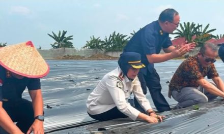 Kalapas Perempuan Jambi Hadiri Penyerahan ULP Muaro Jambi dan Panen Melon