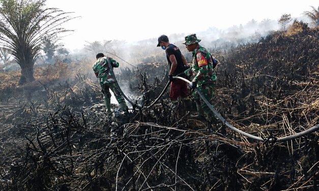 TNI-Polri Bersama Tim Gabungan Perkuat Penanganan Karhutla Di Londrang
