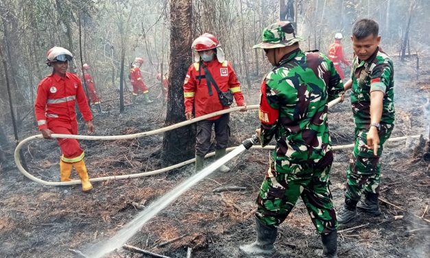 Karhutla di Wilayah Koramil 416-06/MB Berhasil Dipadamkan, Situasi Aman dan Kondusif