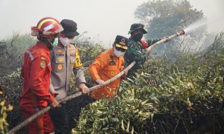 Danrem 042/Gapu Dampingi Gubernur dan Kapolda Jambi Padamkan Karhutla di Tanjab Timur