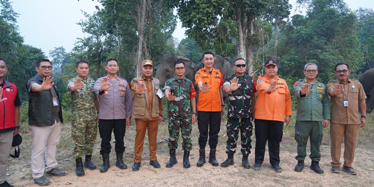 Danrem 042/Gapu Pimpin Rakor Karhutla di Tebo, Perlindungan Habitat Gajah Jadi Fokus