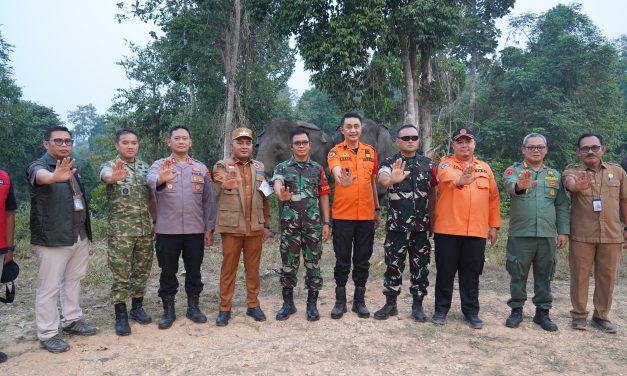 Danrem 042/Gapu Pimpin Rakor Karhutla di Tebo, Perlindungan Habitat Gajah Jadi Fokus