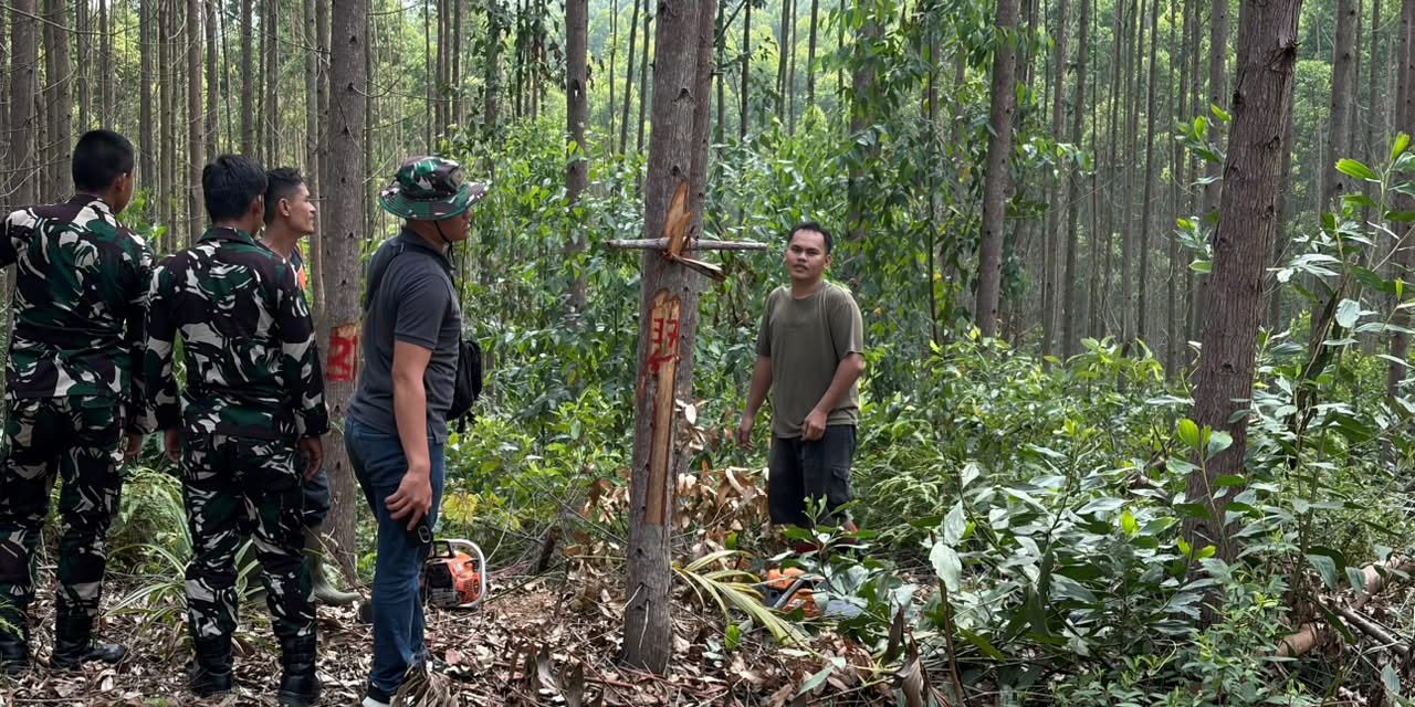 Cegah Karhutla, Babinsa Kodim 0212/Tapsel Rutin Patroli Dan Sosialisasi Di Palas