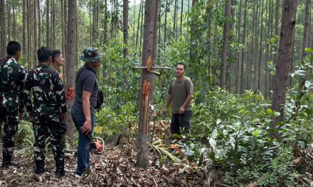 Cegah Karhutla, Babinsa Kodim 0212/Tapsel Rutin Patroli Dan Sosialisasi Di Palas