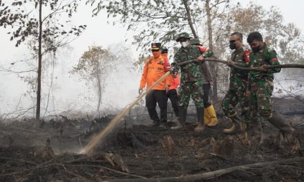 Karhutla Londerang Kembali Ditinjau, Danrem Dan Gubernur Jambi Pastikan Pemadaman Berlanjut