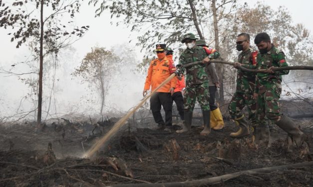Karhutla Londerang Kembali Ditinjau, Danrem Dan Gubernur Jambi Pastikan Pemadaman Berlanjut