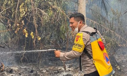 Kebakaran Lahan Tiga Hektare Di Mestong Berhasil Dipadamkan