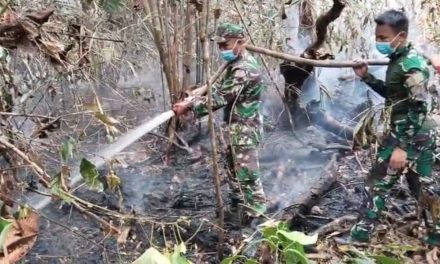 Karhutla Kembali Terjadi di Batang Hari, Tim Gabungan Bergerak Padamkan Api di Kawasan PT REKI
