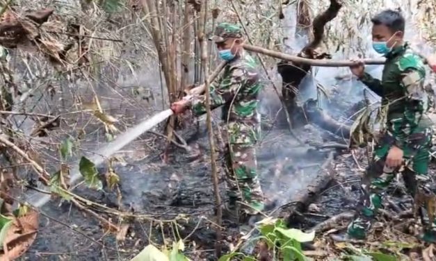 Karhutla Kembali Terjadi di Batang Hari, Tim Gabungan Bergerak Padamkan Api di Kawasan PT REKI