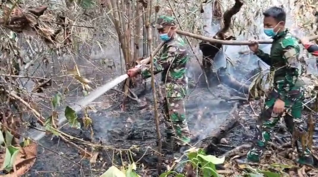 Karhutla Kembali Terjadi di Batang Hari, Tim Gabungan Bergerak Padamkan Api di Kawasan PT REKI
