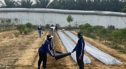 Lapas Perempuan Jambi Optimalkan Lahan Pertanian dengan Plastik Mulsa